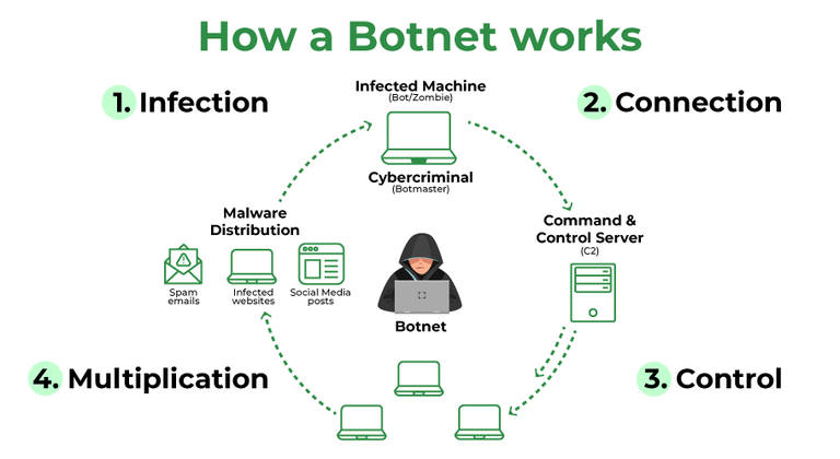 Bot Network