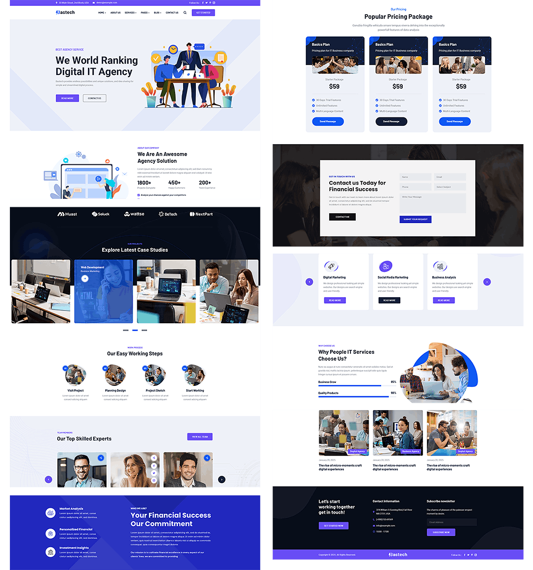 website design and development services